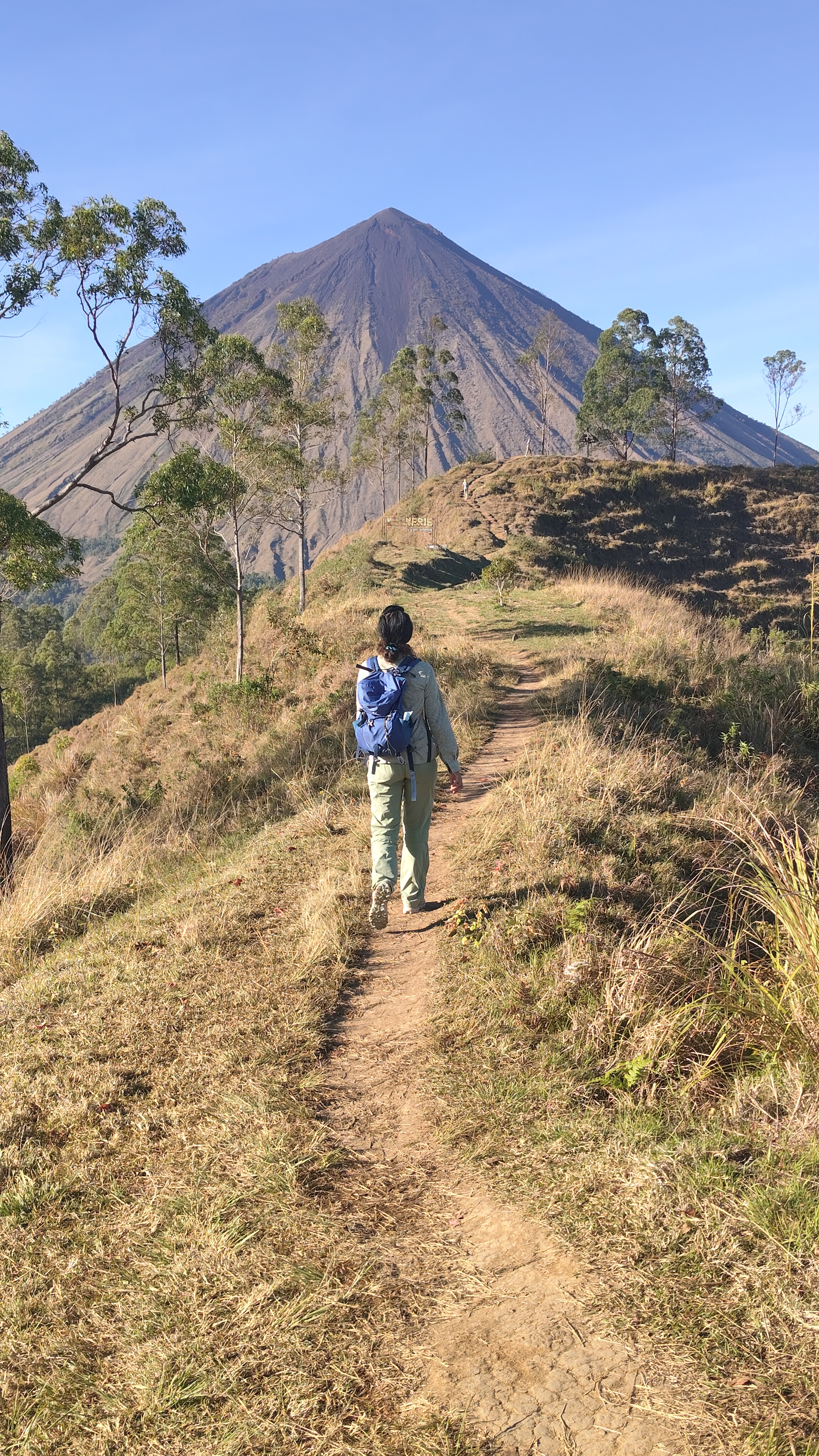 bukit Avatar